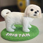 Personalized Dog Figurines - Custom Air Dry Clay Cake Topper for Weddings, Birthdays & Keepsakes, Pet Mom Gifts, Dog Wedding topper